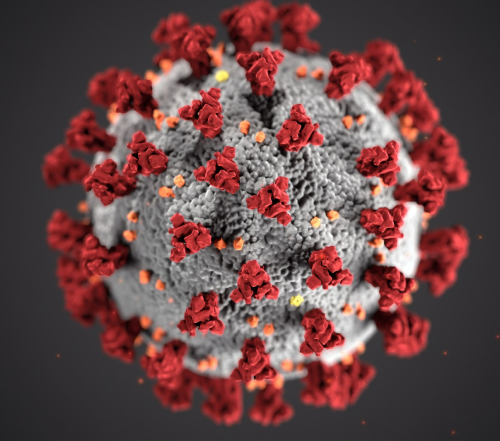 Fórum de Bioética na Pandemia pela COVID-19 acontece até 1º de julho